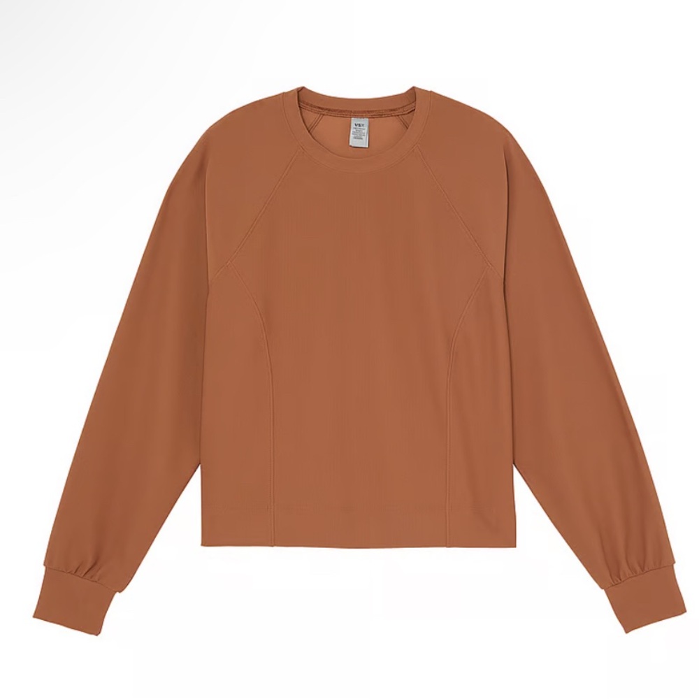 AE77 by American Eagle terracotta crew neck sweatshirt ladies size Medium